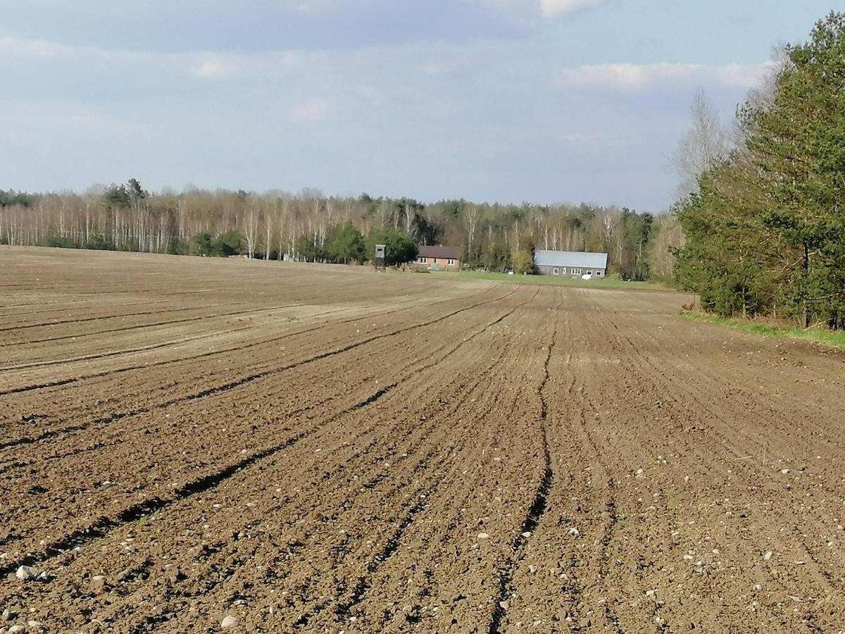 Agroturystyka Pod Dobrymi Skrzydlami Wiski Exteriör bild