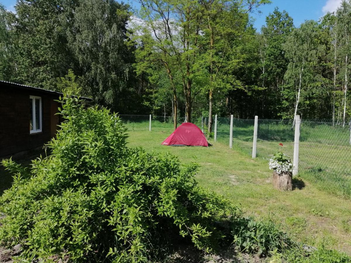 Agroturystyka Pod Dobrymi Skrzydlami Wiski Exteriör bild